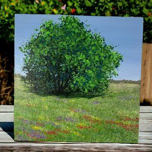 Spring into Spring, 8" x 8" Landscape Acrylic on Canvas Nature Painting by Deb B